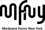 Logo with the text mfny in stylized, bold font above smaller text reading Marijuana Farms New York.