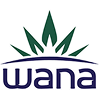 Logo with the word wana and a stylized green leaf design above it.