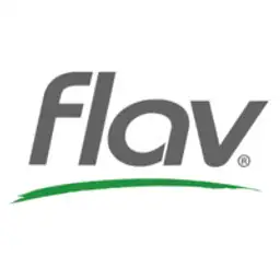 Flav logo in gray letters with a green curved line underneath on a white background.