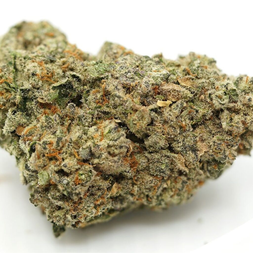 A close-up of a dried cannabis bud with visible orange hairs and green, frosty trichomes.