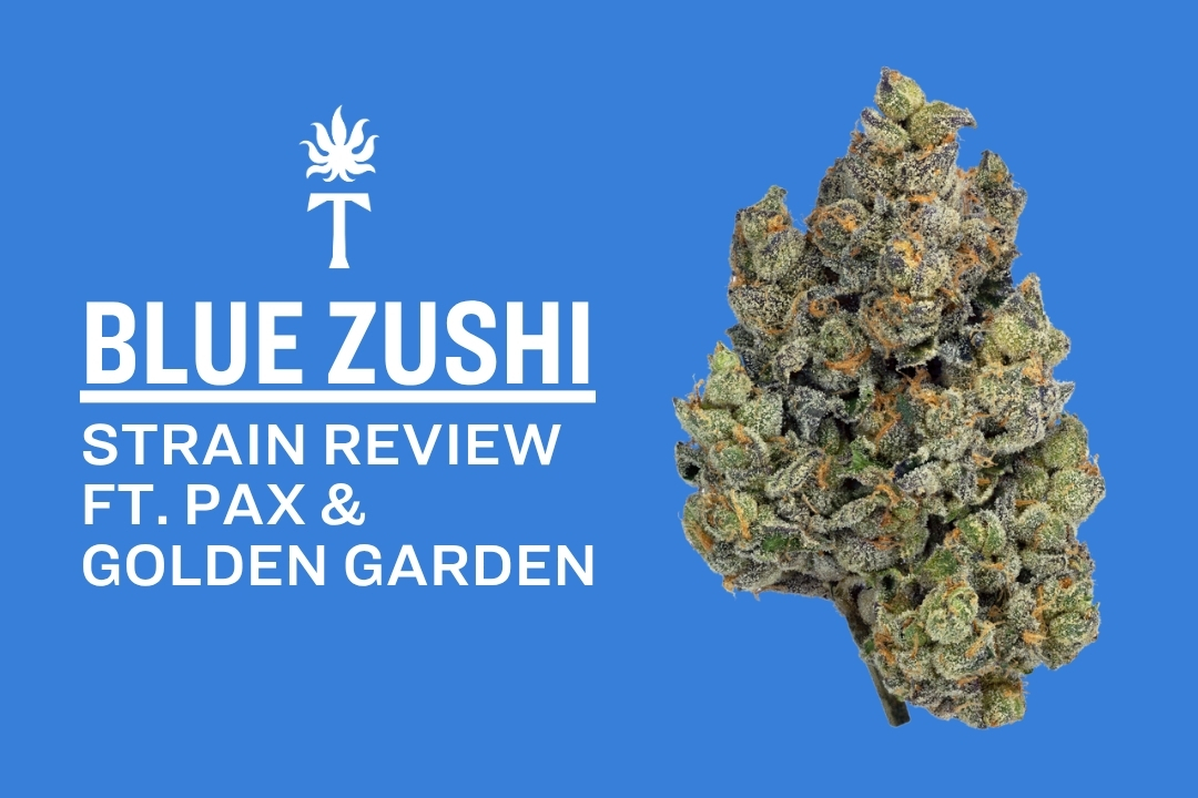 Blue Zushi strain cannabis bud next to text reading Blue Zushi Strain Review ft. PAX & Golden Garden on blue background.