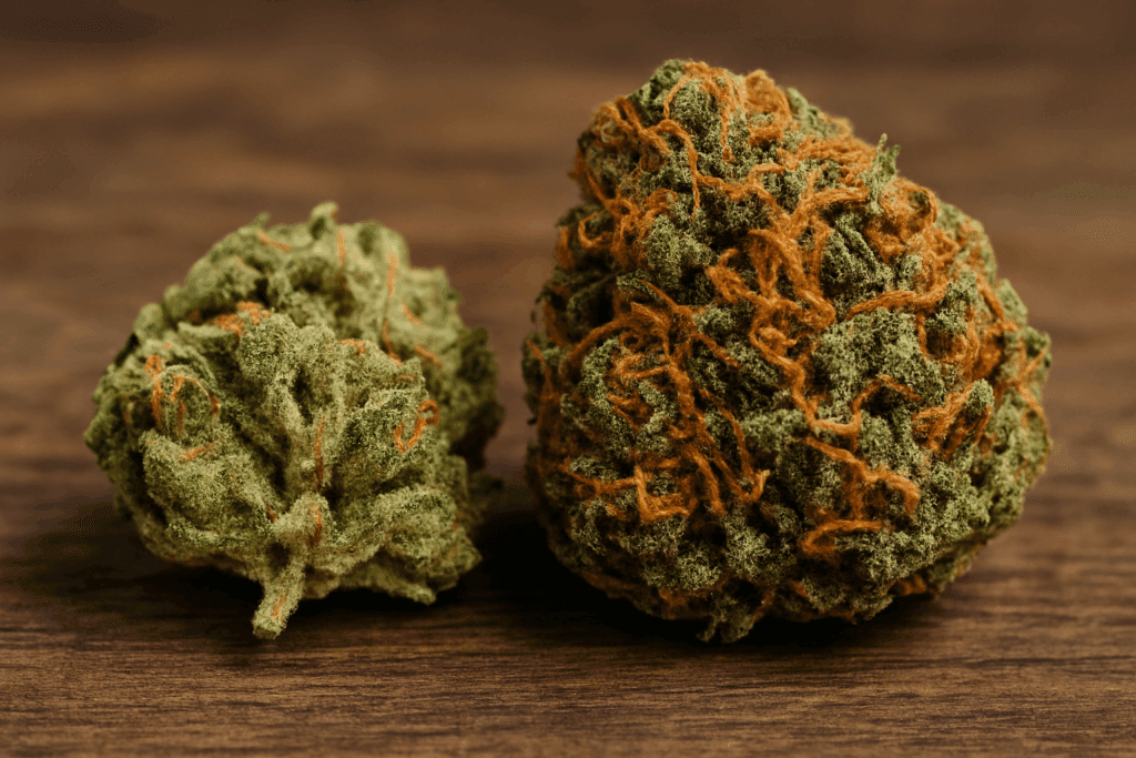 Two cannabis buds, one smaller and greener, the other larger with orange hairs, on a wooden surface.