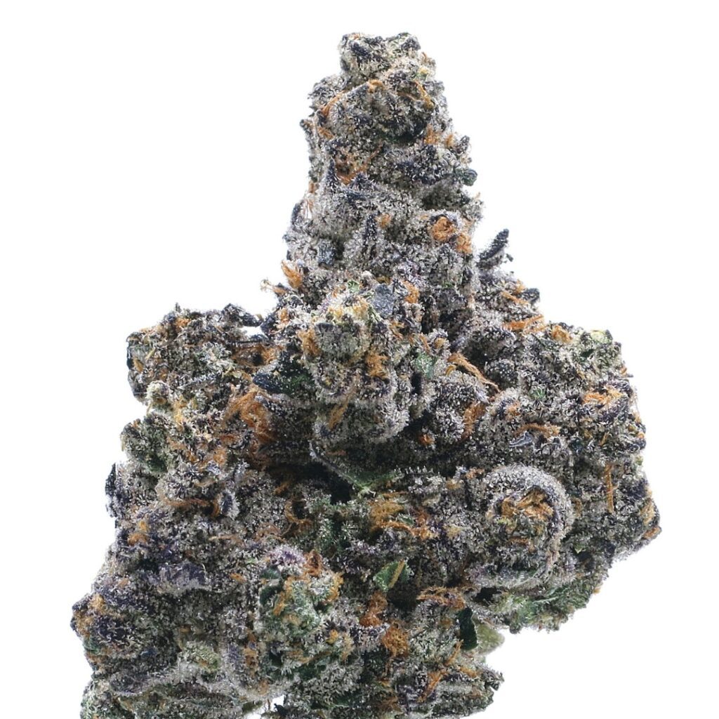 Close-up of a frosty, purple and green cannabis bud with orange hairs against a white background.