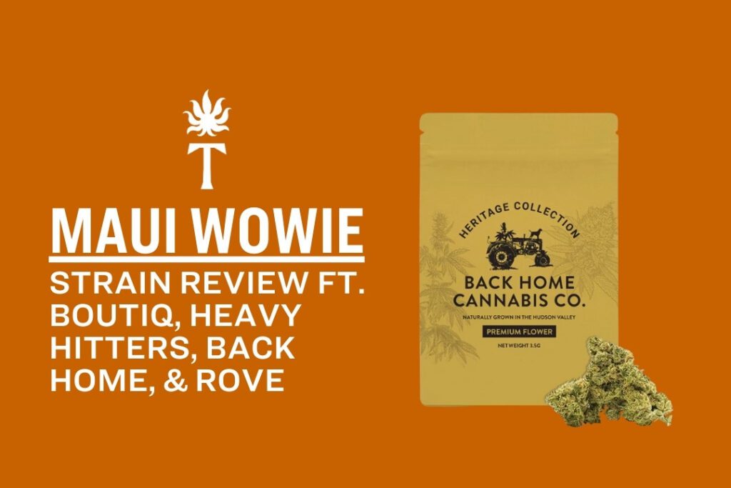Maui Wowie Strain review with a Back Home Cannabis Co. package and vibrant cannabis buds displayed on an orange background.